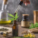 Olio CBD: tutto quello da sapere prima di acquistarlo