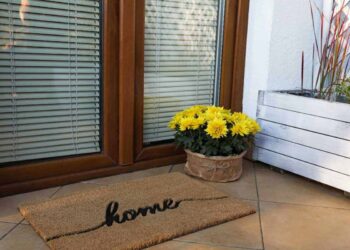 Le forme degli Zerbini: una guida completa