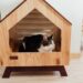 Come costruire una cuccia per gatti: Una guida curiosa