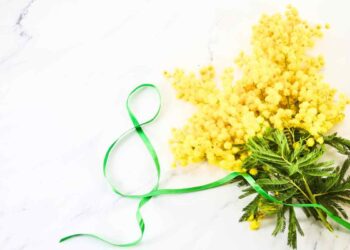 Cosa regalare per la festa della donna?