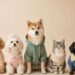 Moda a quattro zampe: Come vestire il cane con stile, comfort e sicurezza